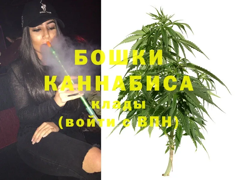 Канабис SATIVA & INDICA  Рославль 